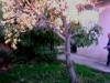 villa a vendre