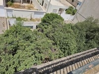 villa alons