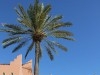 Villa Andalous 7