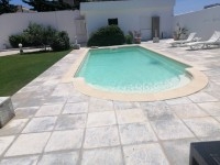 villa avec piscine 