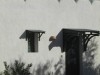 villa avec piscine a Djerba