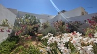 VILLA AVEC PISCINE À MIDOUN DJERBA ZU - RÉF V716