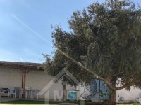 Villa avec piscine à vendre à Hammamet Sud51355351