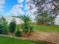 Villa avec piscine à vendre à Hammamet Sud51355351