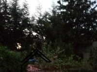 villa avec un grand jardin