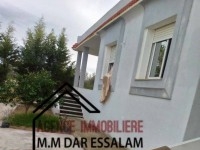 villa avec un grand jardin