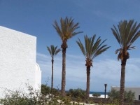 Villa baleine(réf: l2807) :