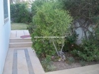 villa barbara AL1692 lac1 tunis 