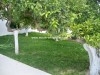 villa bianca AV371 hammamet
