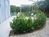 villa bianca AV371 hammamet