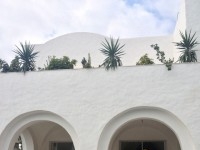 villa cactus AV069 hammamet 