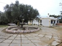 Villa Citrus AV1160 Hammamet 