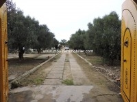 Villa Citrus AV1160 Hammamet 