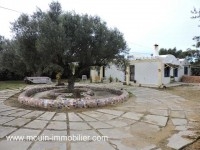 VILLA CITRUS Hammamet Sud AV1160