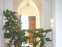 villa cocoon1 ref av 965 hammamet sud 