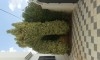 Villa de charme dans la zone prestigieuse Bouzayen