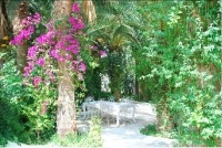 VILLA DES 25 PALMIERS  AL013  Hammamet-Zone théâtr