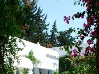 VILLA DES 25 PALMIERS  AL013  Hammamet-Zone théâtr
