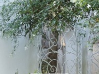 villa des 25 palmiers AL013 hammamet