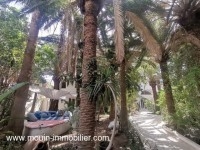VILLA DES 25 PALMIERS I Hammamet AL013