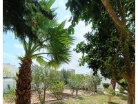 VILLA EL HAOUARIA AV1901