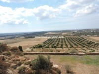 Villa El Monchar AL1701 Hammamet 