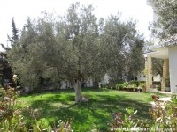 villa eline AV367 cité kharrouba hammamet 