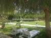 Villa Emilia ref AL1321 Hammamet 