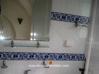 villa emily AV667 barraket essahel hammamet 