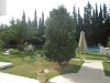 Villa en face hotel aziza 