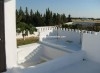 Villa Eucalyptus ref AV660 Hammamet Baraket Essahe
