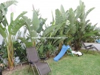 Villa Eya AV1126 Hammamet Mrezka 