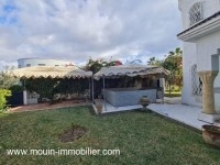 Villa Ficus AV717 Hammamet Mrezka 