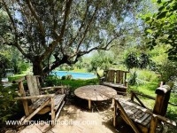 Villa Forest AL3389 Hammamet 