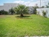 Villa Green ref AL562 Yasmine Hammamet