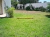 Villa Green ref AL562 Yasmine Hammamet