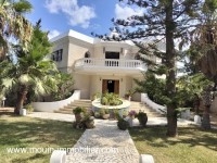 Villa Haytham AL404 Hammamet Nord 