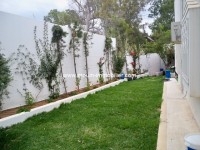 Villa Honey AL1353 Hammamet 