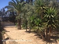 VILLA JEAN CLAUDE Hammamet Nord AV726