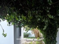 Villa Karam ref AL2041 La Marsa 