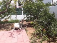 Villa KATIA Route Bir Bouregba :