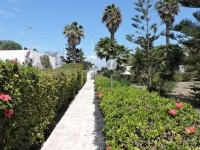 Villa la Citronelle AL2117 Hammamet Nord