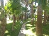 Villa LA FORTUNA V380