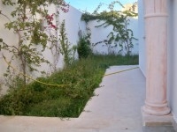 Villa La Luna AV1313 Hammamet 