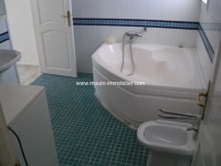 Villa Les Deux Palmiers AV884 