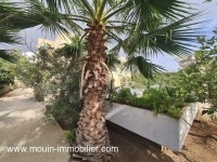 VILLA LIMA Hammamet Nord II AV1751