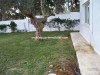 Villa L'Oliveraie AL1206 Hammamet
