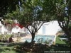 Villa L'OREAL ref AL 347 Hammamet 
