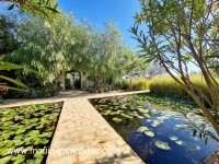 Villa Lotus AV1586 Hammamet 
