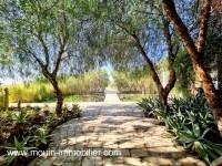 Villa Lotus AV1586 Hammamet 